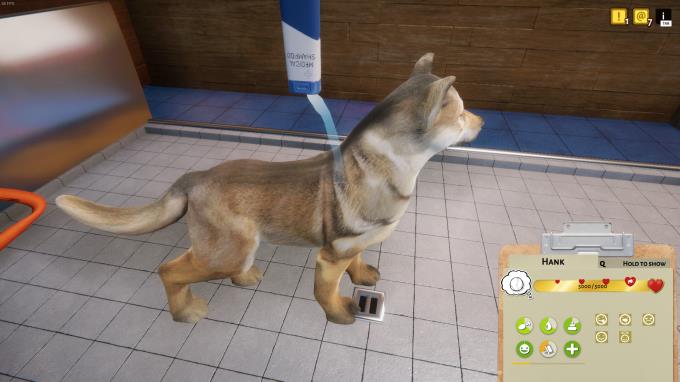 Animal Shelter Update v1 2 5 Torrent Download