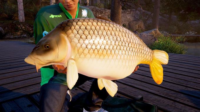 Fishing Sim World: Pro Tour PC Crack