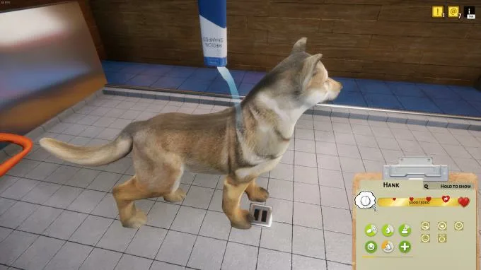 Animal Shelter Update v1 2 19 Torrent Download