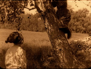 Fante-Anne (1920) download