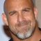 Bill Goldberg Photo