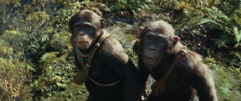 Kingdom of the Planet of the Apes (2024) download