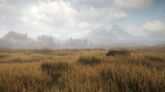 theHunter Call of the Wild Sundarpatan Hunting Reserve Update v2806253 PC Crack