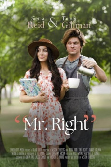 Mr. Right Free Download